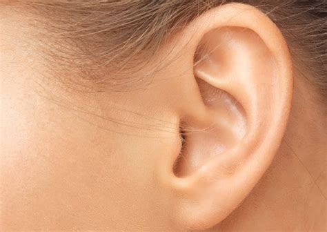 Bio Tech Scientists Unravel Secret Of Human Ears Extreme Sensitivity