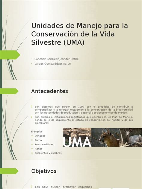 Unidades De Manejo Para La Conservación De La Vida Silvestre Uma