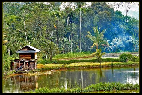 Pemandangan Alam Terindah Di Indonesia Pemandanganoce Riset