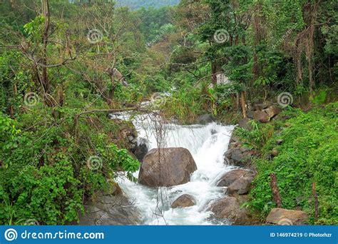 Mountain River Stream Waterfall Fresh Forest Landscape Nature Plant