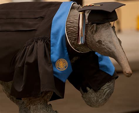 Uci art history professor roland betancourt racked up 130 visits to the magic kingdom, rode the uci art history professor, roland betancourt steve zylius / uci. First-generation students make up more than half of UCI's ...