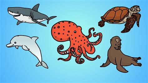 Draw Five How To Draw Ocean Animals Youtube