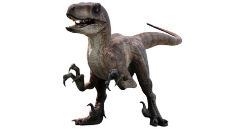 Jurassic Park Velociraptor 2 By Camo Flauge On Deviantart Dinosaur Images Jurassic Park