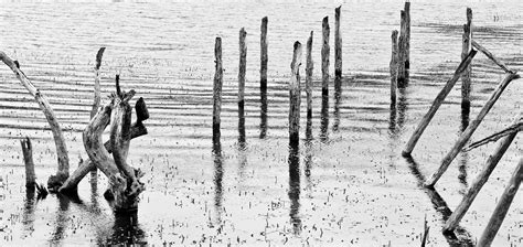 Free Images Water Nature Black And White Lake Reflection Scenic