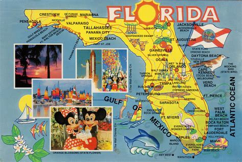 Map of Florida | Florida state map, Map of florida, Florida