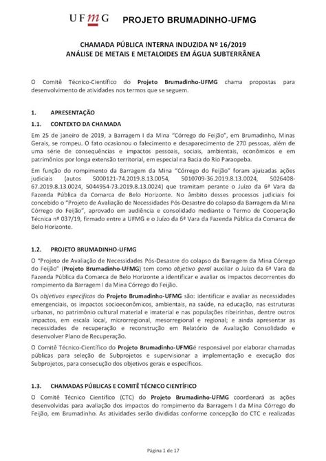 PDF PROJETO BRUMADINHO UFMG O Projeto de Avaliação de Necessidades Pós Desastre do colapso