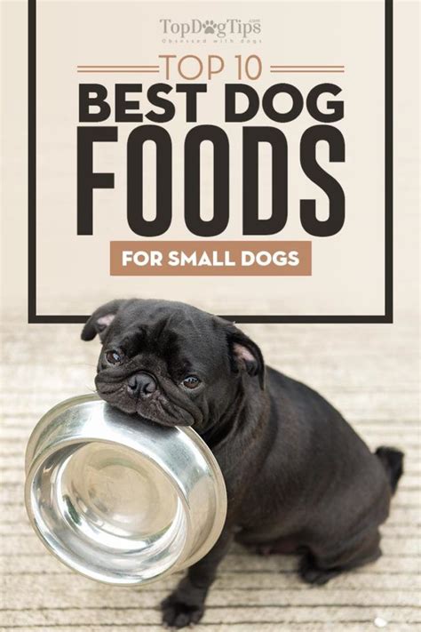 Below are our favorite dog food brands for small breed puppies, and we compare each brand against each other in five vital categories. 10 Best Dog Foods for Small Breeds | Best dog food, Top ...