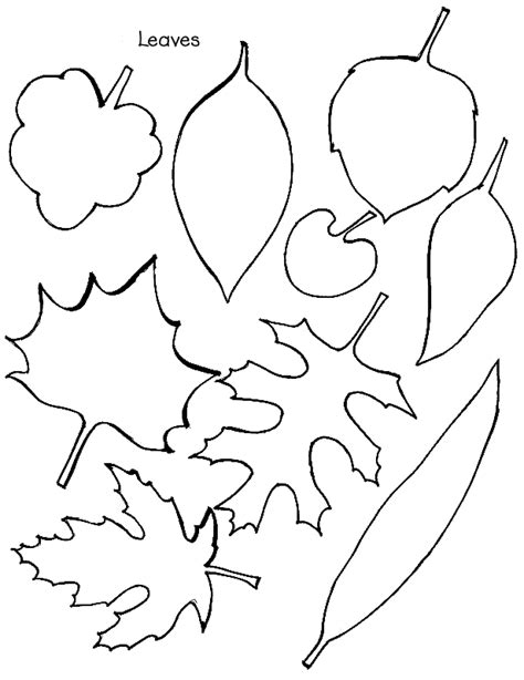 Printable Fall Leaves Coloring Home