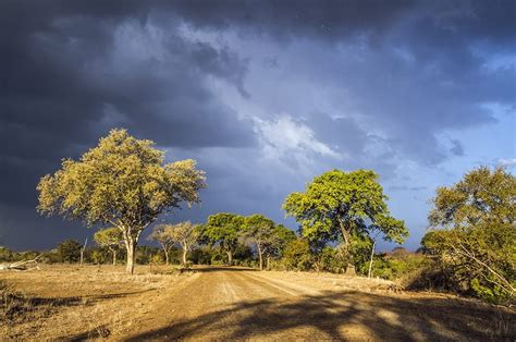 Best Time To Go To The Kruger National Park Secret Africa