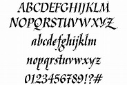 Kaligrafi-latin font by Erdem Ornek - FontRiver