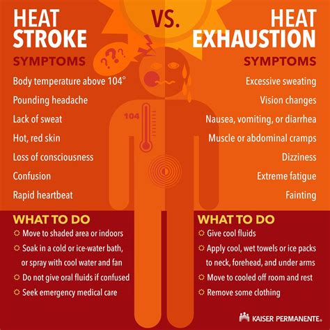 How To Stay Safe And Healthy During Portlands Extreme Heat Wave