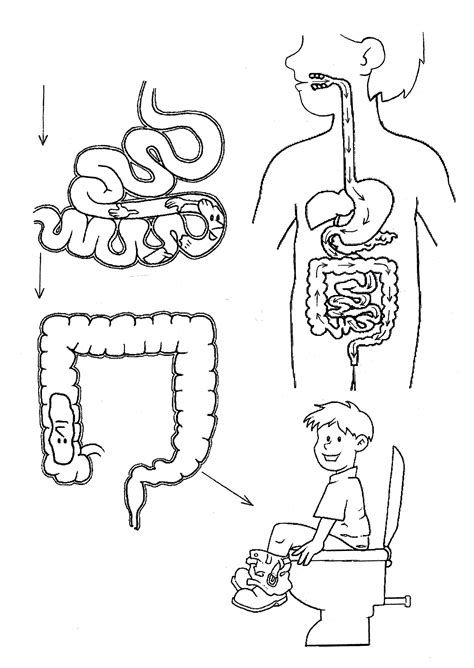 Simple Science: How to Make a Volcano with Kids