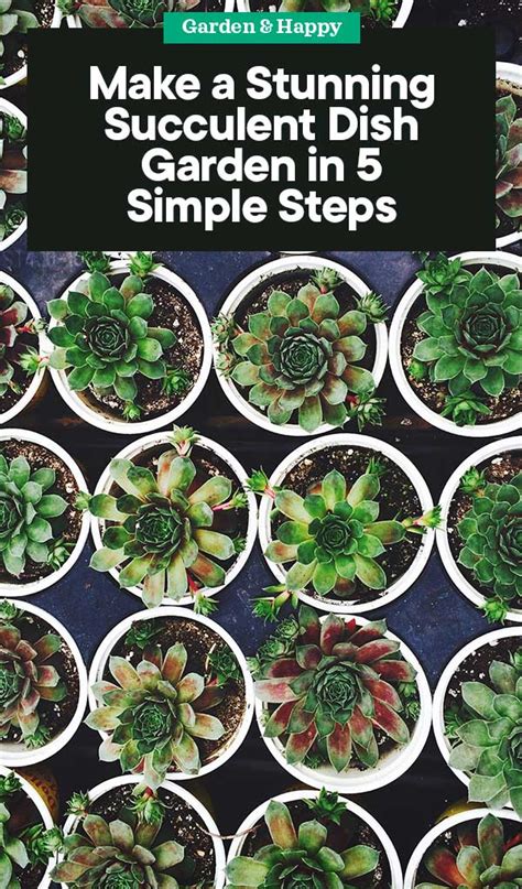 Make A Stunning Succulent Dish Garden In 5 Simple Steps Garden And Happy