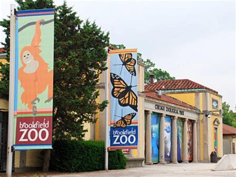 Admission Free To Brookfield Zoo On Martin Luther King Jr