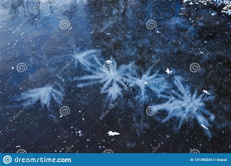 Frozen Air Bubbles Stock Photo Image Of Frost Natural 131390334