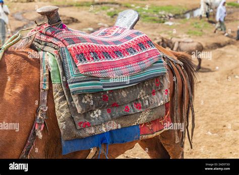 Ethiopia Amhara Debark Horse With Traditional Saddle At The Market