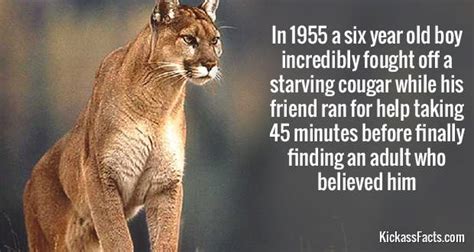 60 fun and interesting facts in pictures snappy pixels