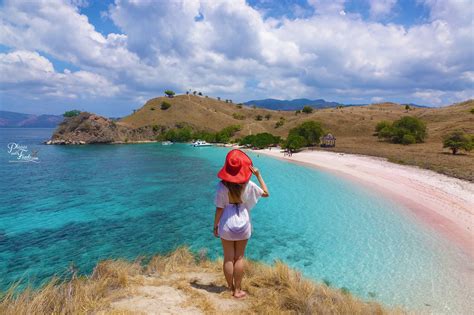 Pink Beach Komodo Island Indonesia S Famous Pink Sand Beaches Zohal