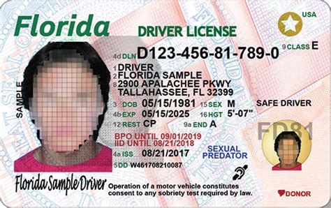 Floridas New Driver License And Id Card Florida Department Of Cloudyx