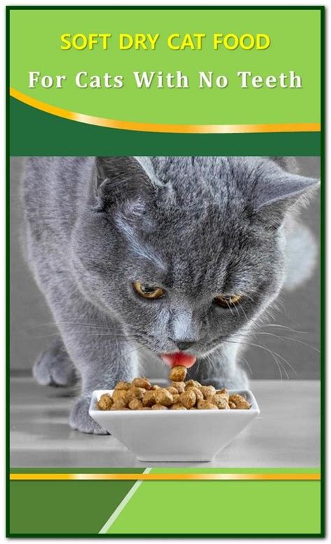 This class of food is a type of tender cat food. Soft Dry Cat Food For Cats With No Teeth | Cat food, Dry ...