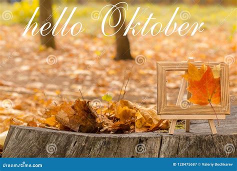 Hello October Greeting Card Autumn Maple Leaves Stock Image Image
