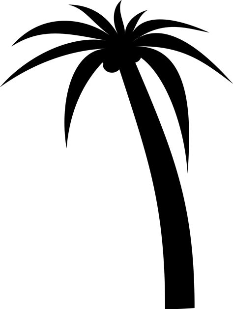 Palm Tree Drawing Outline At Getdrawings Free Download