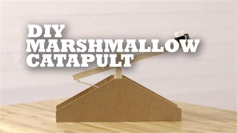 Diy Marshmallow Catapult Youtube