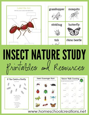The eskom guides are in english. Insect Nature Study Printables - Learning About Bugs ...