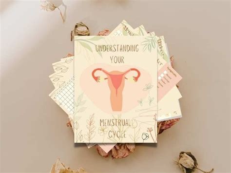 Understanding Your Menstrual Cycle Printable Pdf Period Etsy Australia