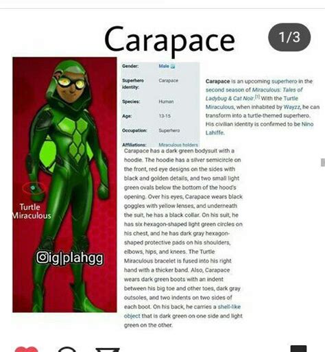 Information On Carapace Miraculous Amino