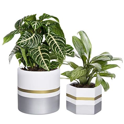 65 Inches Pack Of 2 White Ceramic Flower Pot Indoor