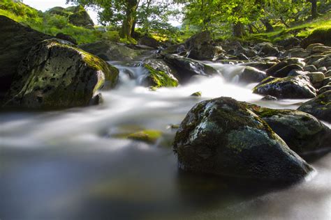 Water Stream Landscape Free Stock Photo Public Domain Pictures