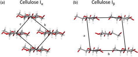 Structure And Properties Of Nitrocellulose Approaching 200 Years Of