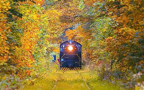 Catch Some Autumn Color On A Fall Foliage Train