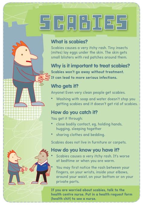 Scabies Healthify