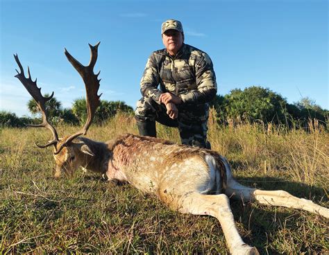 Fallow Deer Hunting In Okeechobee FL Florida Hunting Fishing Outdoor Adventures