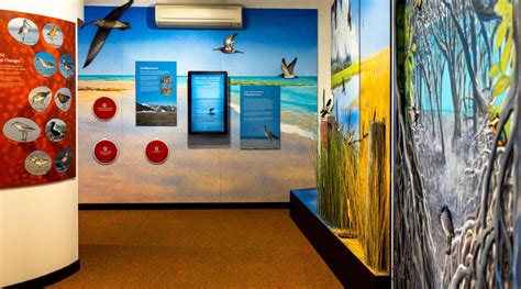 Broome Bird Observatory Birdlife Australia