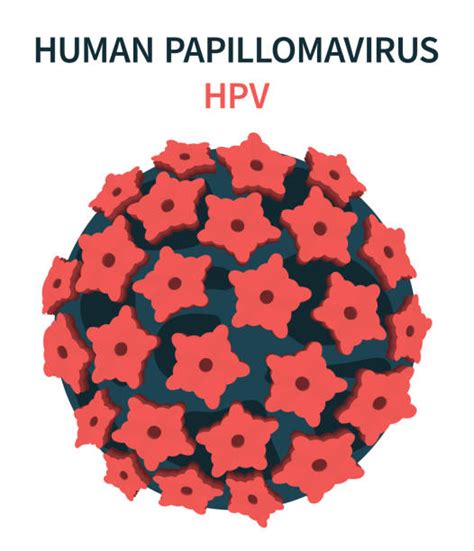 Human Papilloma Virus Stock Photos Pictures And Royalty Free Images Istock