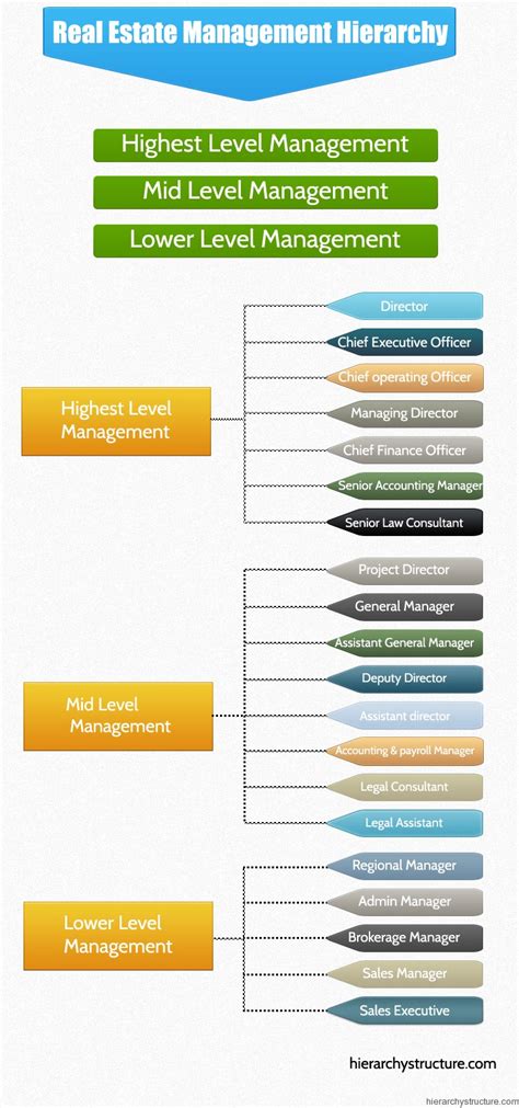 Apply to real estate manager, real estate associate, asset manager and more! Real Estate Management Hierarchy | Hierarchystructure.com