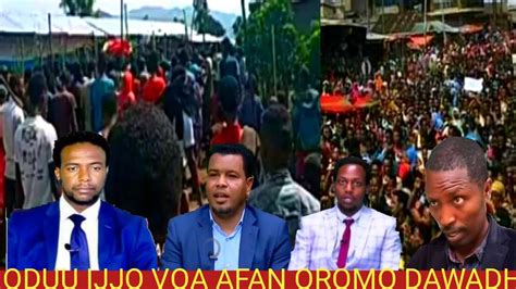Oduu Ijjo Voa Afan Oromo Dawadha Youtube