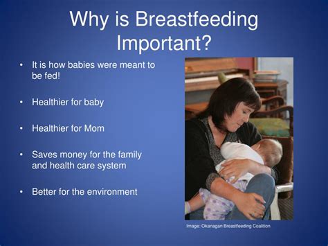Ppt Becoming A Breastfeeding Friendly Community Centre Powerpoint