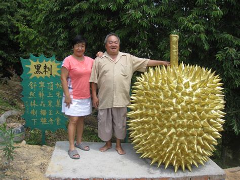 I've already been at the bao sheng durian farm for a month, but i did not expect to be eating durian yet. Malaysia Penang Food 馬來西亞檳城州美食 Jalan-jalan cari tempat ...