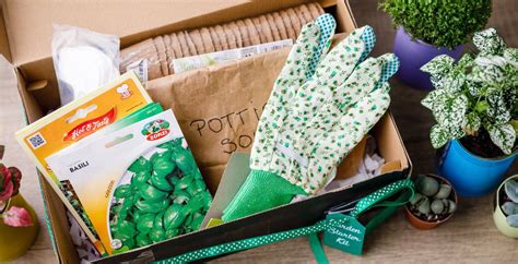 Homemade Garden Starter Kit T Set For New Gardeners Miss Wish