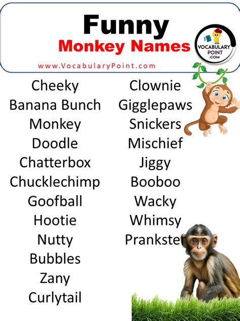 600 Funny Monkey Names Famous Pet Male And Female Vocabulary Point