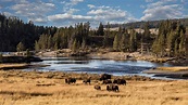 Yellowstone: America's First National Park
