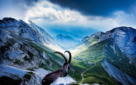 Mount Pilatus Hd Nature 4k Wallpapers Images Backgrounds Photos