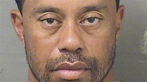 tiger woods sorry for drunk driving incident golfer blames it on medication hindustan times