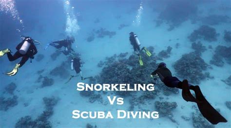 Snorkeling Vs Scuba Diving Differences And Similarities