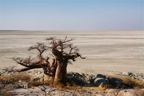 Experience It Makgadikgadi Pans National Park Salt Pans And Kalahari Desert Mackair