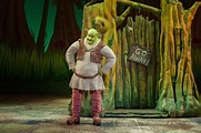Review of Shrek the Musical at Mastercard Theatre - good cast, strong ...